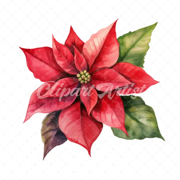 20 High-Quality Poinsettia Clipart - Poinsettia flower digital watercolor JPG instant download for commercial use - Digital download