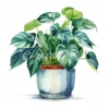 19 High-Quality Pot of Philodendron Clipart - Philodendron digital watercolor JPG instant download for commercial use - Digital download