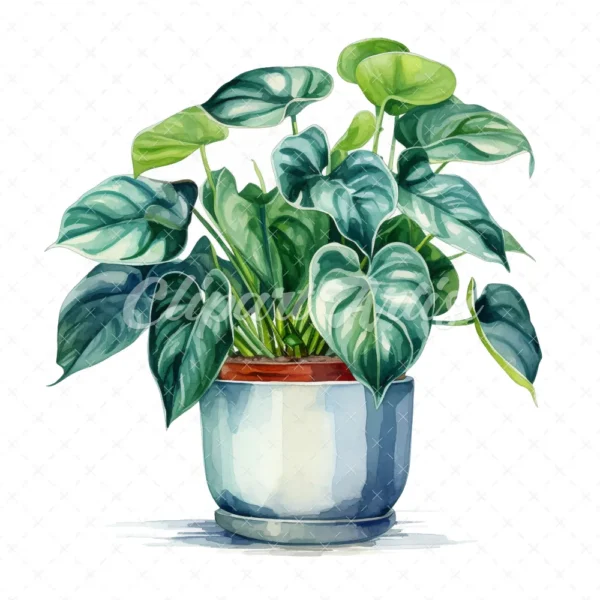 19 High-Quality Pot of Philodendron Clipart - Philodendron digital watercolor JPG instant download for commercial use - Digital download