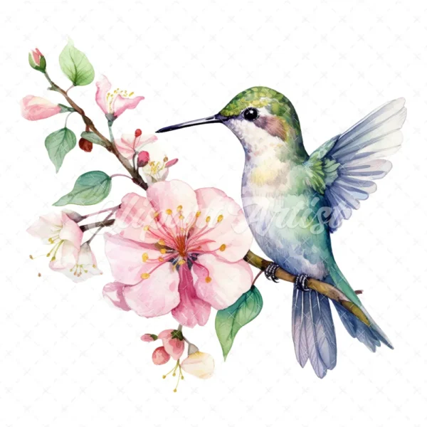 19 High-Quality Floral Hummingbird Clipart - Hummingbird digital watercolor JPG instant download for commercial use - Digital download