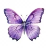 24 High-Quality Purple Butterfly Clipart - Purple butterfly digital watercolor JPG instant download for commercial use - Digital download