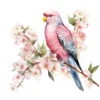 18 High-Quality Pink Bourke Parakeet Clipart - Pink parakeet digital watercolor JPG instant download for commercial use - Digital download