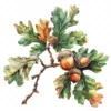 19 High-Quality Oak Acorns Clipart - Oak acorns digital watercolor JPG instant download for commercial use - Digital download