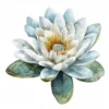 19 High-Quality Delicate Water Lily Clipart - Water lily digital watercolor JPG instant download for commercial use - Digital download