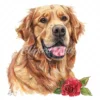 20 High-Quality Golden Retriever Clipart - Golden retriever digital watercolor JPG instant download for commercial use - Digital download