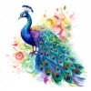20 High-Quality Rainbow Peacock Clipart - Peacock digital watercolor JPG instant download for commercial use - Digital download