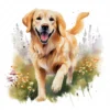 20 High-Quality Golden Retriever Clipart - Golden retriever digital watercolor JPG instant download for commercial use - Digital download