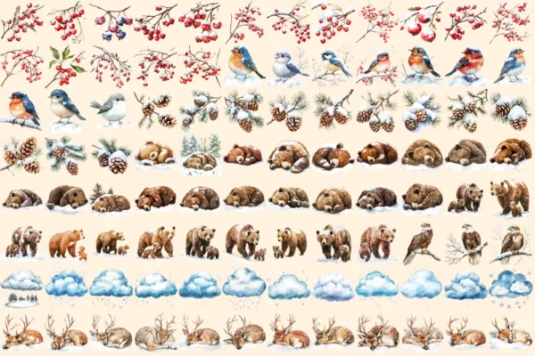 Winter Woodland Watercolor Clipart Bundle - 655+ transparent PNG, Winter animal graphics, Cute winter images,Commercial use,Digital download