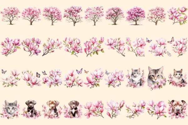 Magnolia Watercolor Clipart Bundle - 234+ transparent PNG, Botanical floral illustrations, Blossom images, Commercial use, Digital download