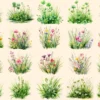 Grass Watercolor Clipart Bundle - 135+ transparent PNG, Botanical grass illustrations, Spring greenery art, Commercial use, Digital download