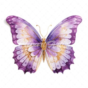 20 High-Quality Purple Gold Butterfly Clipart - Butterfly digital watercolor JPG instant download for commercial use - Digital download