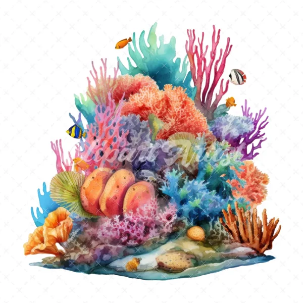 19 High-Quality Reef Clipart - Reef digital watercolor JPG instant download for commercial use - Digital download