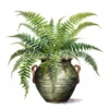 20 High-Quality Fern Antique Pot Clipart - digital watercolor JPG instant download for commercial use - Digital download