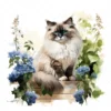 20 High-Quality Ragdoll Cats Clipart - Ragdoll cat digital watercolor JPG instant download for commercial use - Digital download