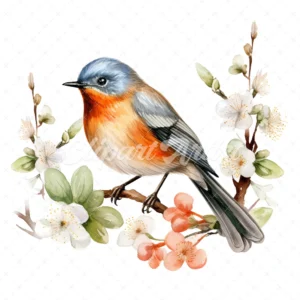 19 High-Quality Redstart Clipart - Redstart digital watercolor JPG instant download for commercial use - Digital download