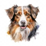 20 High-Quality Australian Shepherd Clipart - Shepherd digital watercolor JPG instant download for commercial use - Digital download