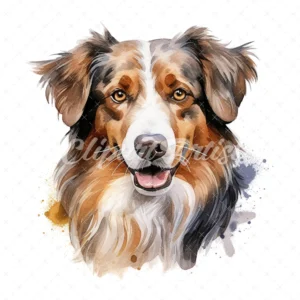 20 High-Quality Australian Shepherd Clipart - Shepherd digital watercolor JPG instant download for commercial use - Digital download