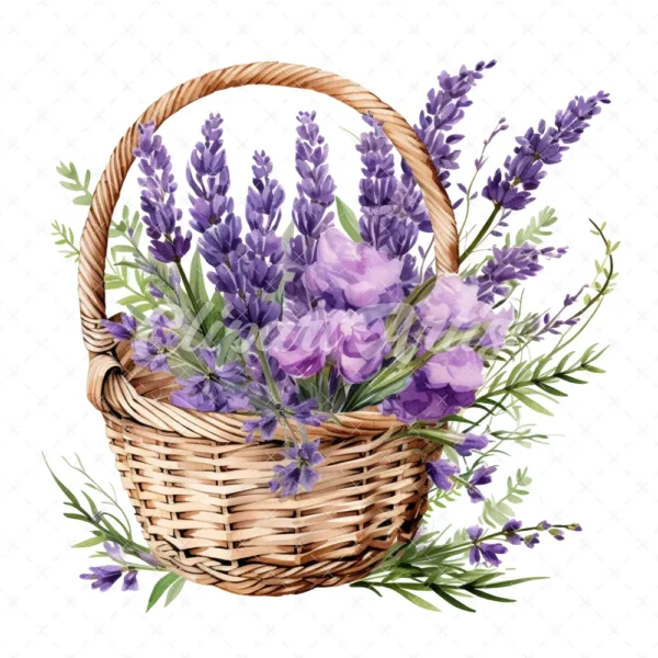 20 High-Quality Lavender Flowers Basket Clipart - Lavender digital watercolor JPG instant download for commercial use - Digital download