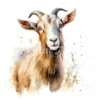 20 High-Quality Kiko Goat Clipart - Kiko goat digital watercolor JPG instant download for commercial use - Digital download