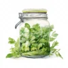 20 High-Quality Herbs Jar Clipart - Herbs jar digital watercolor JPG instant download for commercial use - Digital download