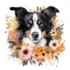 20 High-Quality Floral Border Collie Clipart - Border collie digital watercolor JPG instant download for commercial use - Digital download