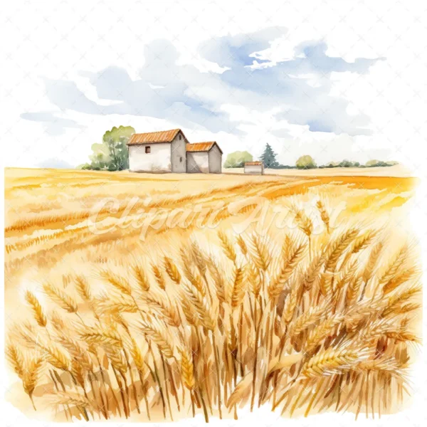 19 High-Quality Wheat Farm Clipart - Wheat farm digital watercolor JPG instant download for commercial use - Digital download