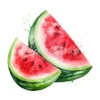 20 High-Quality Watermelon Clipart - Watermelon digital watercolor JPG instant download for commercial use - Digital download