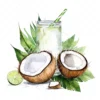 20 High-Quality Coconut Drink Clipart - Coconut drink digital watercolor JPG instant download for commercial use - Digital download
