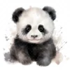 20 High-Quality Baby Panda Portrait Clipart - Panda Portrait digital watercolor JPG instant download or commercial use - Digital download