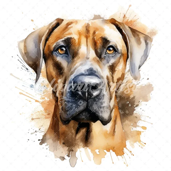 20 High-Quality Rhodesian Portrait Clipart - Rhodesian dog digital watercolor JPG instant download for commercial use - Digital download