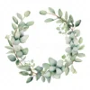 20 High-Quality Eucalyptus Wreath Clipart - Eucalyptus wreath digital watercolor JPG instant download for commercial use - Digital download