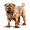 19 High-Quality Standing up Shar Pei Clipart - Shar pei dog digital watercolor JPG instant download for commercial use - Digital download