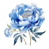 20 High-Quality Blue Peony Clipart - Blue peony flower digital watercolor JPG instant download for commercial use - Digital download
