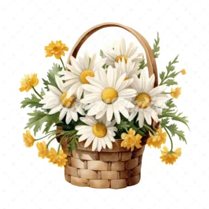 20 High-Quality Daisies Basket Clipart - Daisies basket digital watercolor JPG instant download for commercial use - Digital download