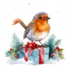 20 High-Quality Robin Bird on Gifts Clipart - Robin bird gifts digital watercolor JPG instant download for commercial use - Digital download