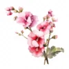 20 High-Quality Hollyhock Clipart - Hollyhock flowers digital watercolor JPG instant download for commercial use - Digital download