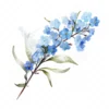 20 High-Quality Forget Me Not Clipart - Forget me not digital watercolor JPG instant download for commercial use - Digital download