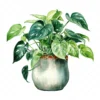 19 High-Quality Pot of Philodendron Clipart - Philodendron digital watercolor JPG instant download for commercial use - Digital download