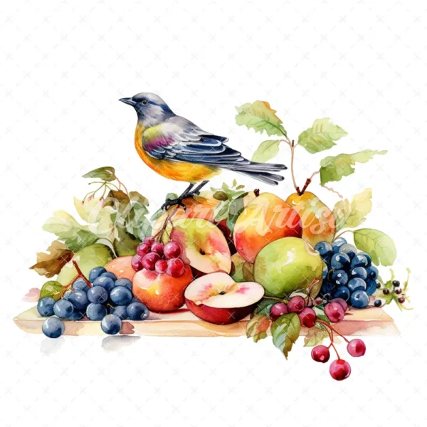 20 High-Quality Bird on Fruits Table Clipart - Bird fruits digital watercolor JPG instant download for commercial use - Digital download