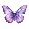 24 High-Quality Purple Butterfly Clipart - Purple butterfly digital watercolor JPG instant download for commercial use - Digital download