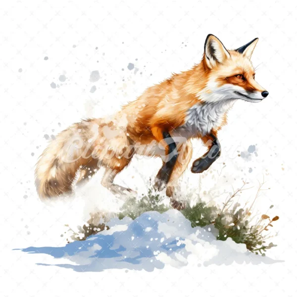 19 High-Quality Pouncing Fox Clipart - Pouncing fox digital watercolor JPG instant download for commercial use - Digital download