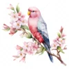18 High-Quality Pink Bourke Parakeet Clipart - Pink parakeet digital watercolor JPG instant download for commercial use - Digital download