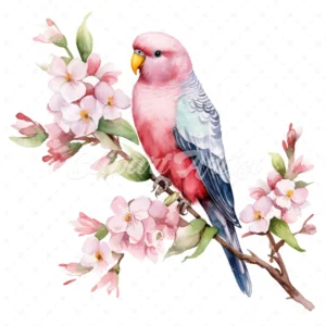 18 High-Quality Pink Bourke Parakeet Clipart - Pink parakeet digital watercolor JPG instant download for commercial use - Digital download