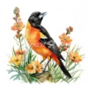 19 High-Quality Baltimore Oriole Clipart - Baltimore oriole digital watercolor JPG instant download for commercial use - Digital download