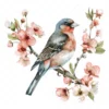 20 High-Quality Chaffinch Flower Clipart - Chaffinch flower digital watercolor JPG instant download for commercial use - Digital download