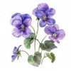 20 High-Quality Violets Clipart - Violets clipart digital watercolor JPG instant download for commercial use - Digital download