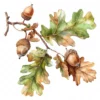 19 High-Quality Oak Acorns Clipart - Oak acorns digital watercolor JPG instant download for commercial use - Digital download