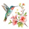 20 High-Quality Floral Hummingbird Clipart - Hummingbird digital watercolor JPG instant download for commercial use - Digital download