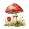 20 High-Quality Clipart - Toadstool digital watercolor JPG instant download for commercial use - Digital download