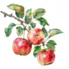 20 High-Quality Apple Branch Clipart - Apple branch watercolor JPG instant download for commercial use - Digital download